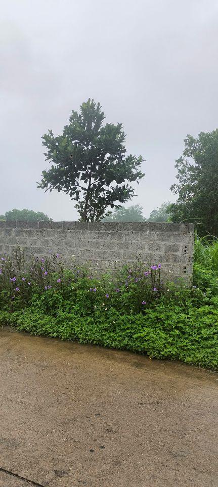 Cần bán đất mặt tiền đường Cầu Ngói, thôn Bằng Tạ, xã Bất Bạt, Hà Nội (thôn Bằng Tạ, xã Cẩm Lĩnh, huyện Ba Vì, HN)