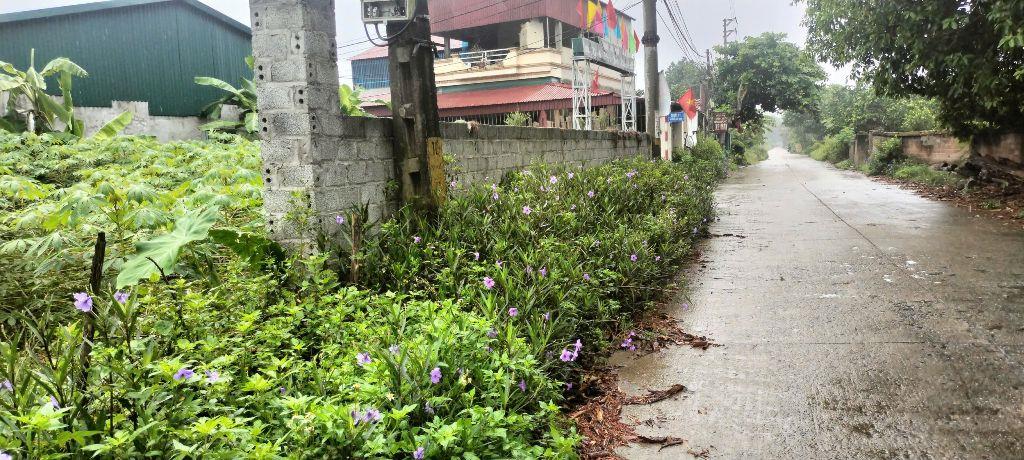 Cần bán đất mặt tiền đường Cầu Ngói, thôn Bằng Tạ, xã Bất Bạt, Hà Nội (thôn Bằng Tạ, xã Cẩm Lĩnh, huyện Ba Vì, HN)