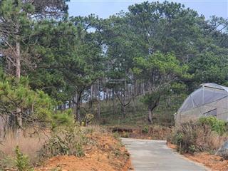 Bán lô đất có sẵn nhà sân vườn tại xuân thọ, xuân trường, đà lạt