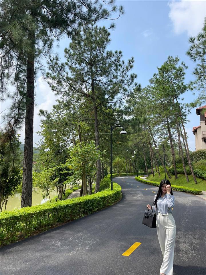 Bán nhanh biệt thự xanh villas khu c thông tin chính xác 100%