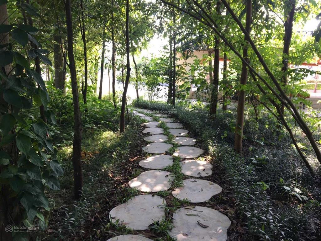 Cần bán đất căn biệt thự 200m khu sinh thái the phoenix garden, giá 80tr/m  0963 835 ***