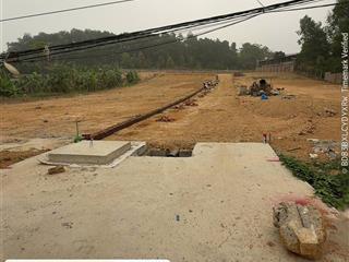 Chính chủ bán 2 lô đất cẩm lĩnh ba vì, dt 568,4m2 & 651,7m2, 2 mặt đường, sổ đẹp, đầu tư tốt