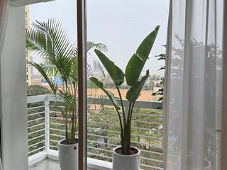 Bán chung cư tại khu đô thị nam thăng long  ciputra, giá thỏa thuận, 123m2, 3pn, 2wc, đầy đủ