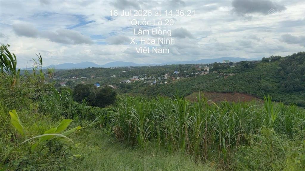 Bán đất tại quốc lộ 20, hòa ninh, 9,5 tỷ vnd, 15969m2, hàng hiếm