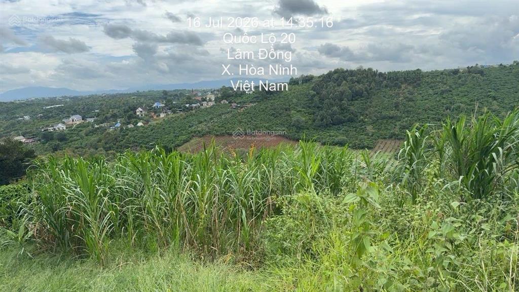 Bán đất tại quốc lộ 20, hòa ninh, 9,5 tỷ vnd, 15969m2, hàng hiếm