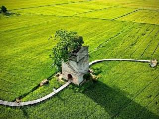 200m2 đất nhà vườn view đồng lúa giáp hội an chỉ 7xxtr