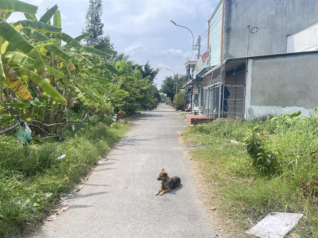 Bán đất 90m2 tại đường số 25, tân lý đông, châu thành, tiền giang, giá 790 triệu