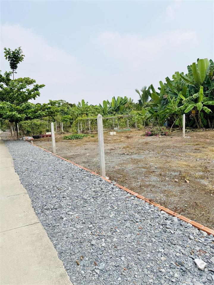 Cần bán lô đất thổ cư 80m2(6.5x12) xã hoà phúcủ chi, sát bên kcn đông nam, cách tỉnh lộ 8 300m