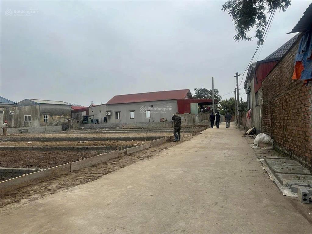 Bán lô đất 70mv chính chủ tại tiên hội an tiến an lão( xã an lão ) hải phòng