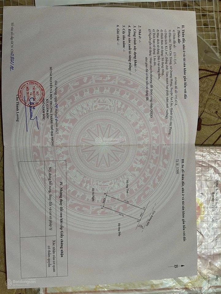 Bán lô đất 82,5mv chính chủ mặt đường nhựa câu trung quang hưng an lão ( an quang ) hải phòng