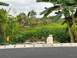 Bán lô đất 125,32mv mặt đường thôn quang khải , an quang , hải phòng