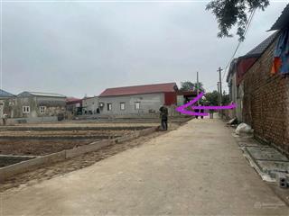 Chính chủ uỷ quyền bán nhanh lô đất 70mv thôn tiên hội, an tiến, an lão , hải phòng