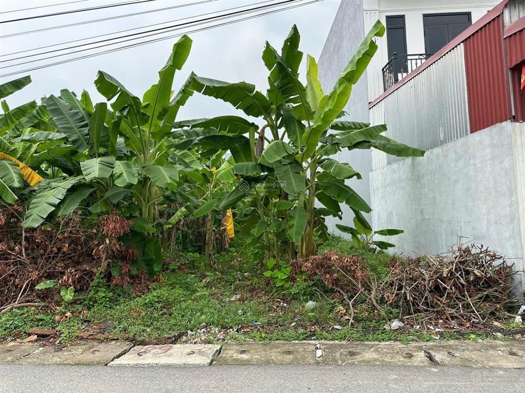 Bán lô đất 93,2mv mặt trục thôn đông nham quốc tuấn an lão hải phòng
