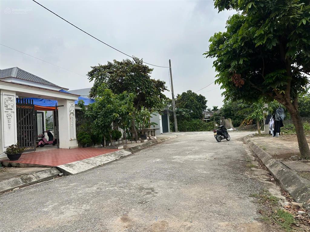 Bán lô đất 100mv tđc câu đông quang trung an lão hải phòng
