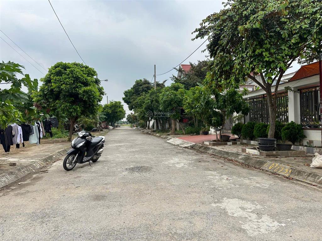 Bán lô đất 100mv tđc câu đông quang trung an lão hải phòng