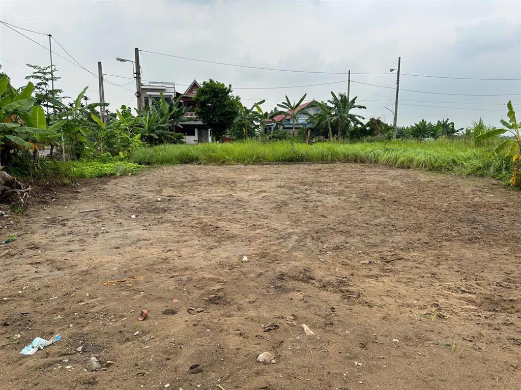 Bán lô đất 100mv tđc câu đông quang trung an lão hải phòng
