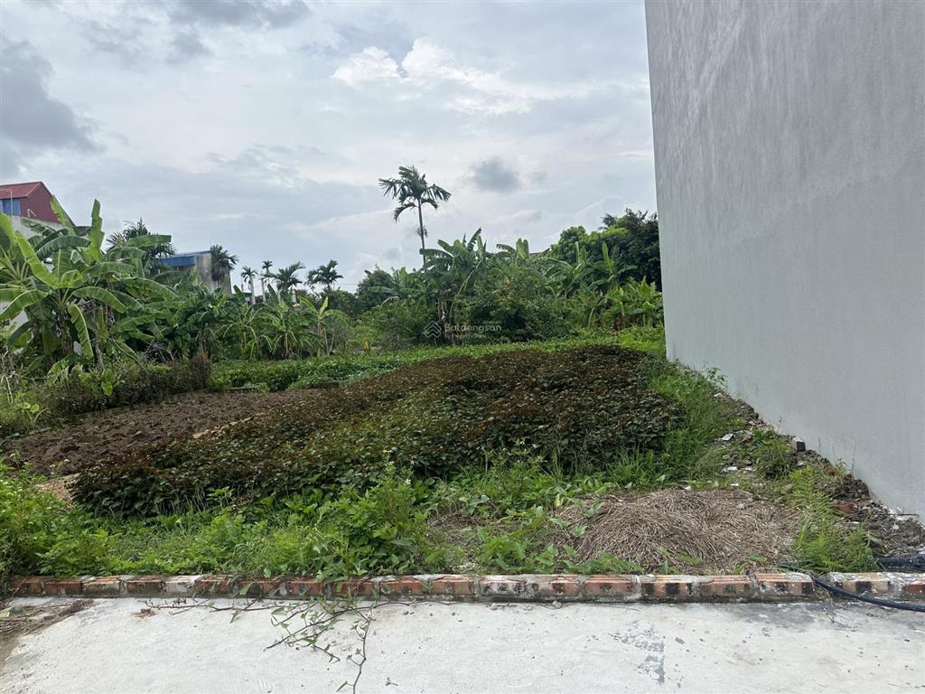 Bán lô đất 64,4m2 tại bách phương an thắng an lão hải phòng cho chính chủ là em gái mình