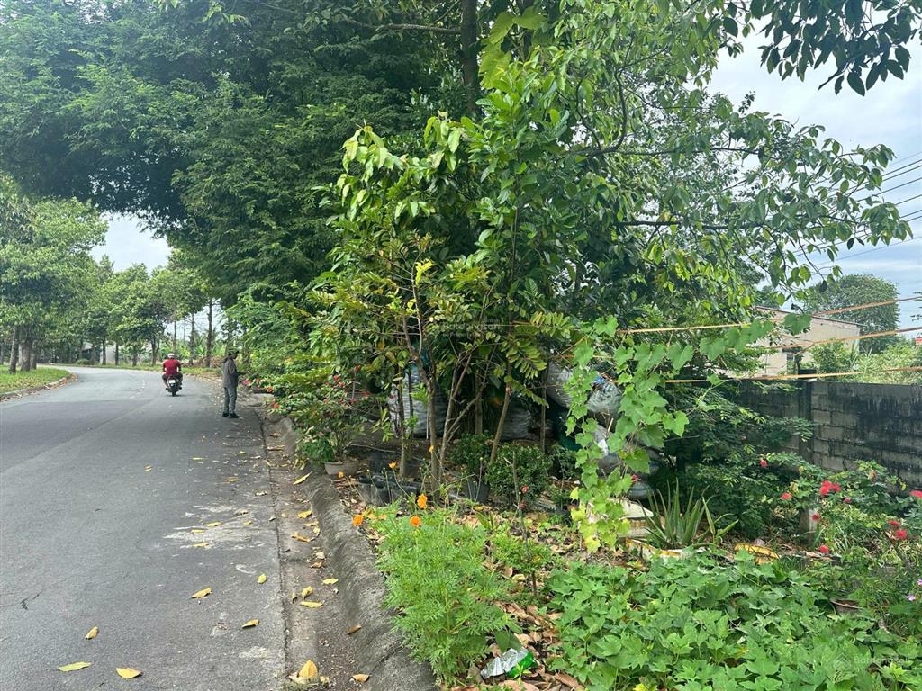 Ngân hàng thanh lý đất ở tại tiếp giáp đường n1, xã tân an hội, thành phố hồ chí minh