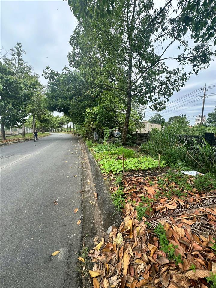 Ngân hàng thanh lý đất ở tại tiếp giáp đường n1, xã tân an hội, thành phố hồ chí minh