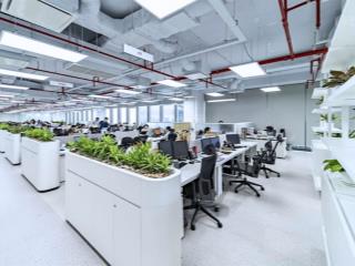 530m2 có cắt nhỏ từ 100m2 cho thuê giá 255k/m2/th tại diamond flower 48 lê văn lương