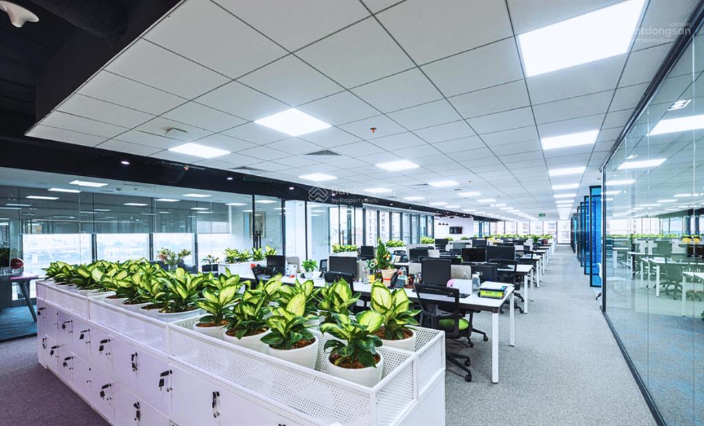 550m² có cắt nhỏ giá 265 nghìn/m2/th sẵn nội thất tại ngoại giao đoàn view công viên