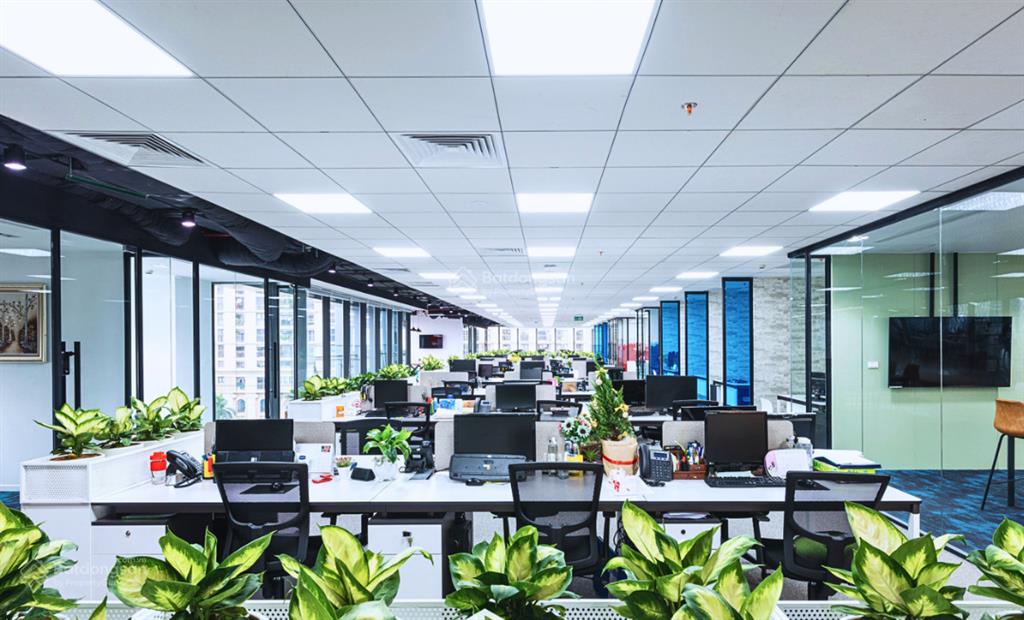 550m² có cắt nhỏ giá 265 nghìn/m2/th sẵn nội thất tại ngoại giao đoàn view công viên