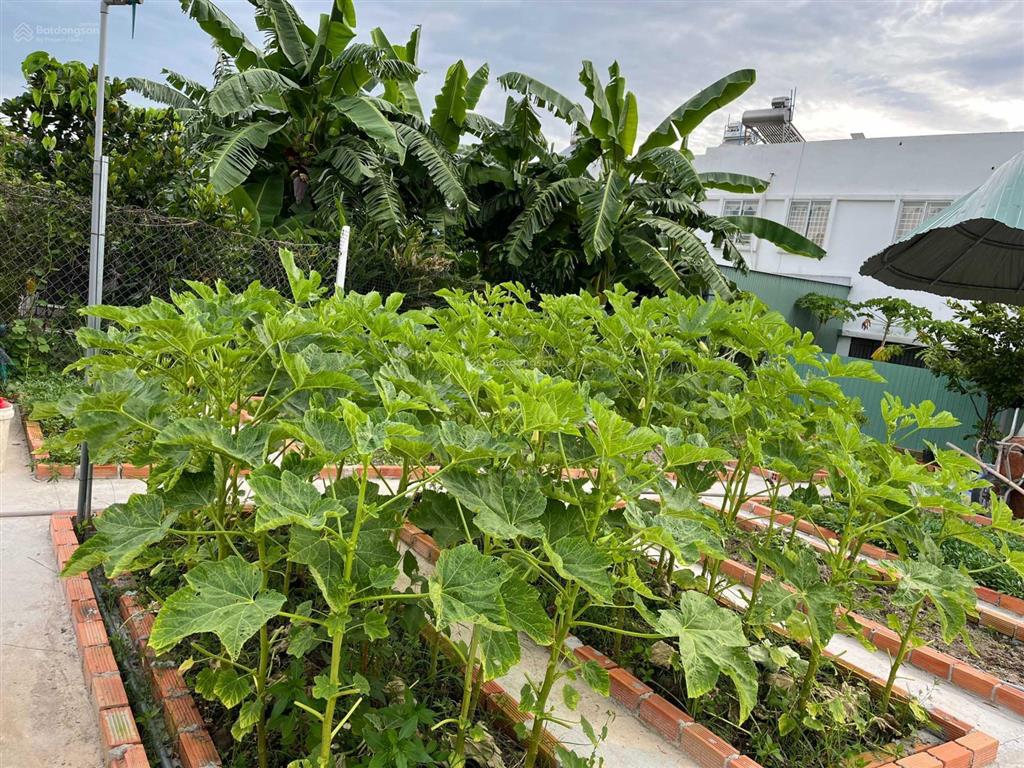Căn góc khu đô thị ecolake mỹ phước, 1 trệt 1 lầu có sân vườn