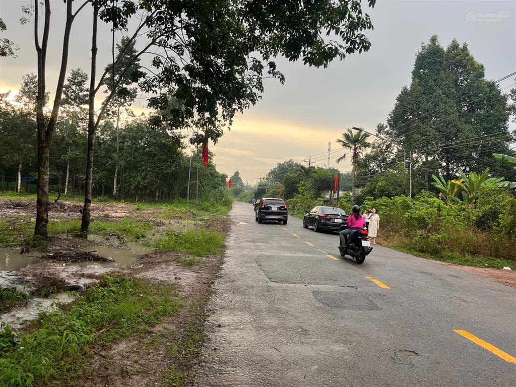 Đất mặt tiền đường đh506  diện tích lớn, tiềm năng khai thác thương mại tại phú giáo, hồ chí minh