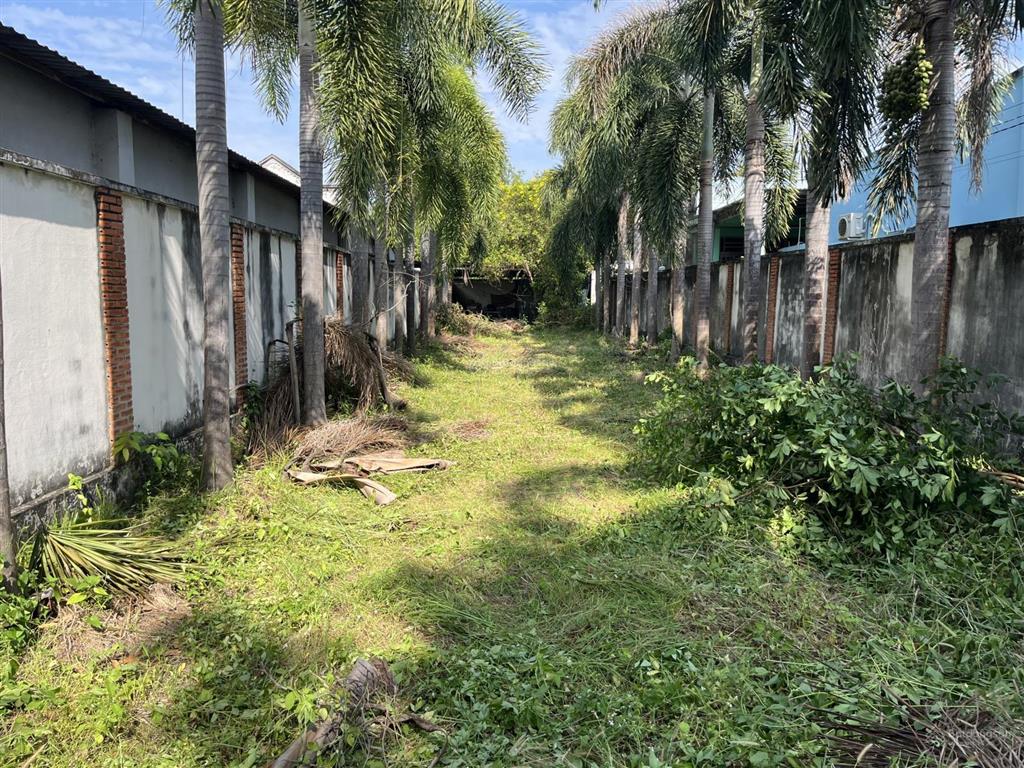 Bán đất chính chủ thổ cử sổ hồng riêng đường nhựa khu dân cư 2 mặt tiền