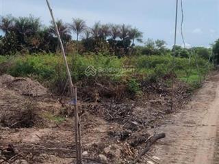 Đất ruộng 2 mặt tiền quốc lộ 30, tp. hồng ngự