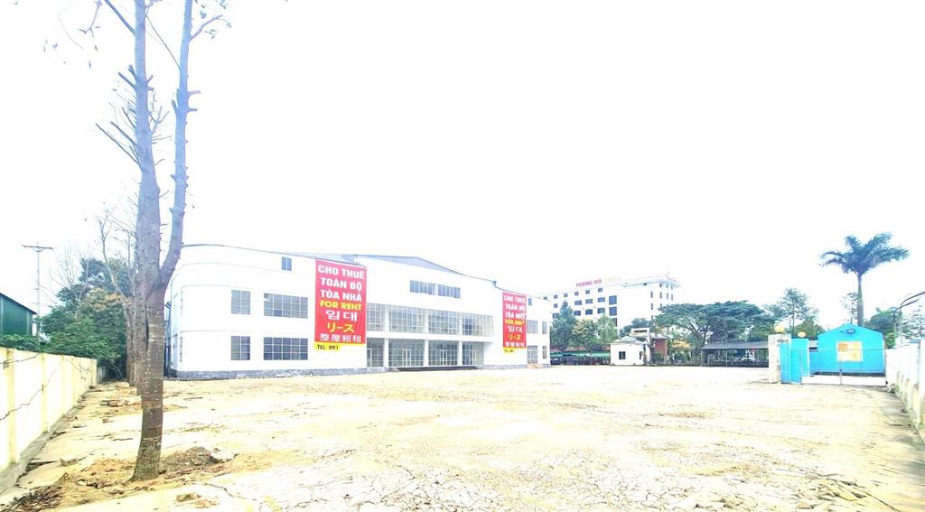 Cho thuê toàn bộ tòa nhà 3 tầng + khu tổng hợp 15.000m² nghệ an