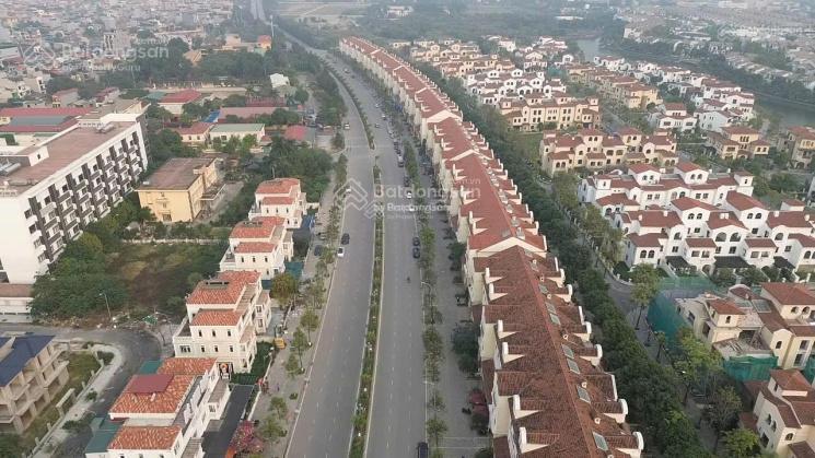 Cho thuê shophouse nam an khánh. giáp khu a geleximco mặt đường đôi 40m trong khu phố ẩm thực vp
