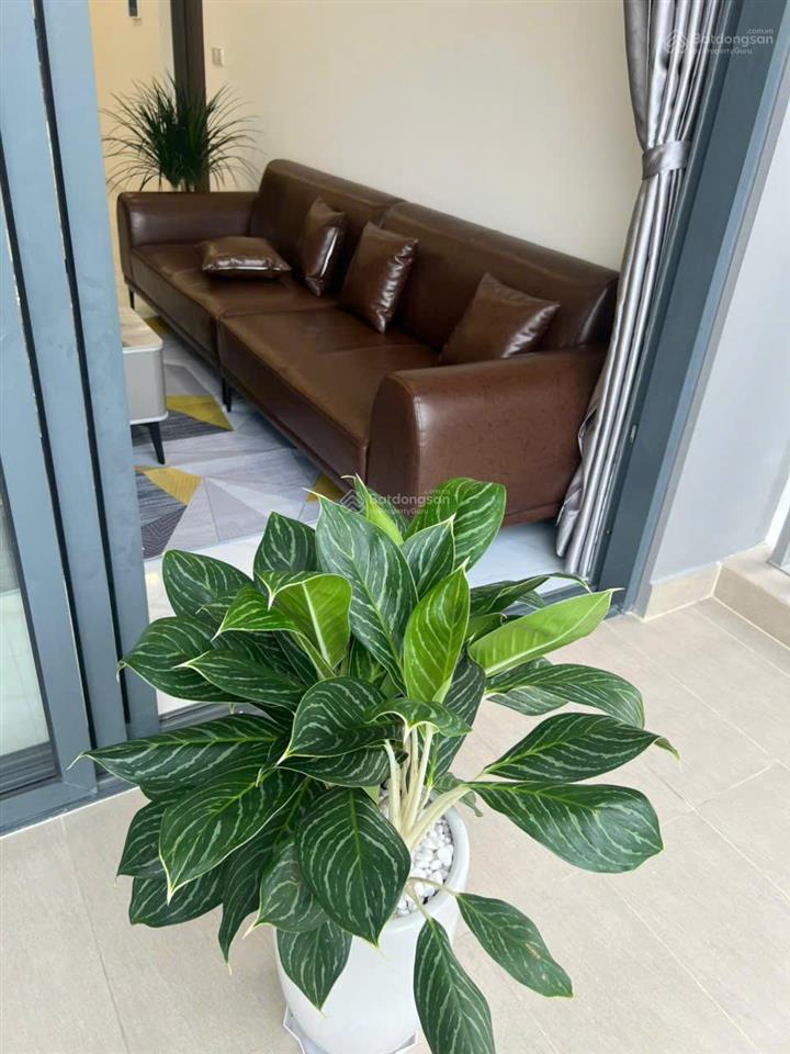 Siêu phẩm diamond centery 120m2 3pn cho thuê đầy đủ nội thất 25 triệu/tháng gồm chỗ đậu xe