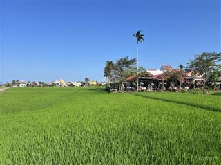 Hậu view lúa cẩm châu  diện tích nhỏ  hàng vip.