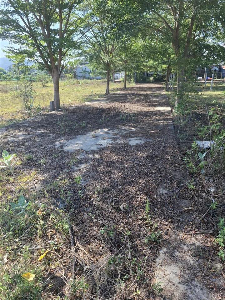 Bán đất tại thành hồ, diên phước, huyện diên khánh, 5,5 tỷ, 1000 m2, giá siêu hời chính chủ