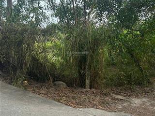 21x61(1305m2) hẻm nguyễn du tân phước lagi gần biển giá 1.350 tỷ