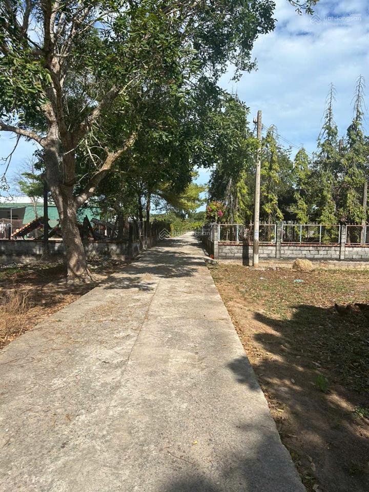 Bán gấp 15x34m (520m2) 60m2 thổ, hẻm ô tô gần biển cam bình giá tốt