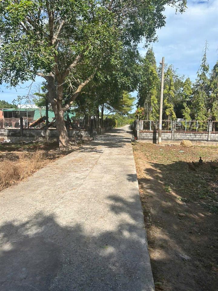 Bán gấp 15x34m (520m2) 60m2 thổ, hẻm ô tô gần biển cam bình giá tốt