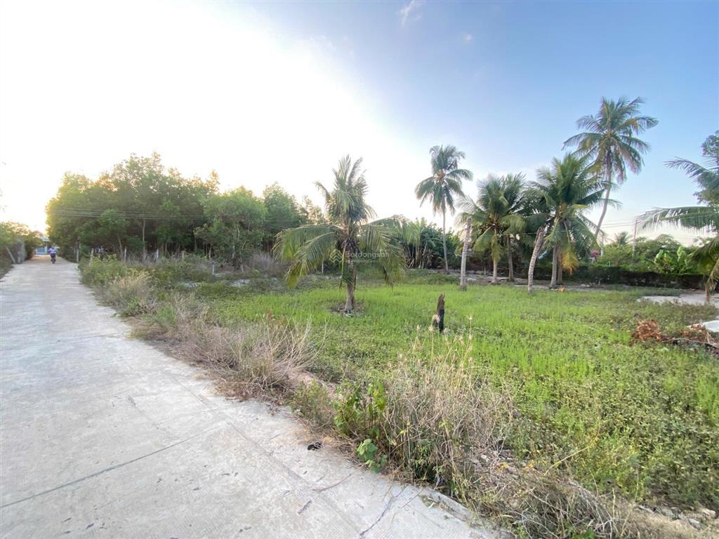 29x35m (1003m²) 60m² thổ, hẻm ngô tất tố  cam bình. gần biển sổ riêng, giá tham khảo tốt