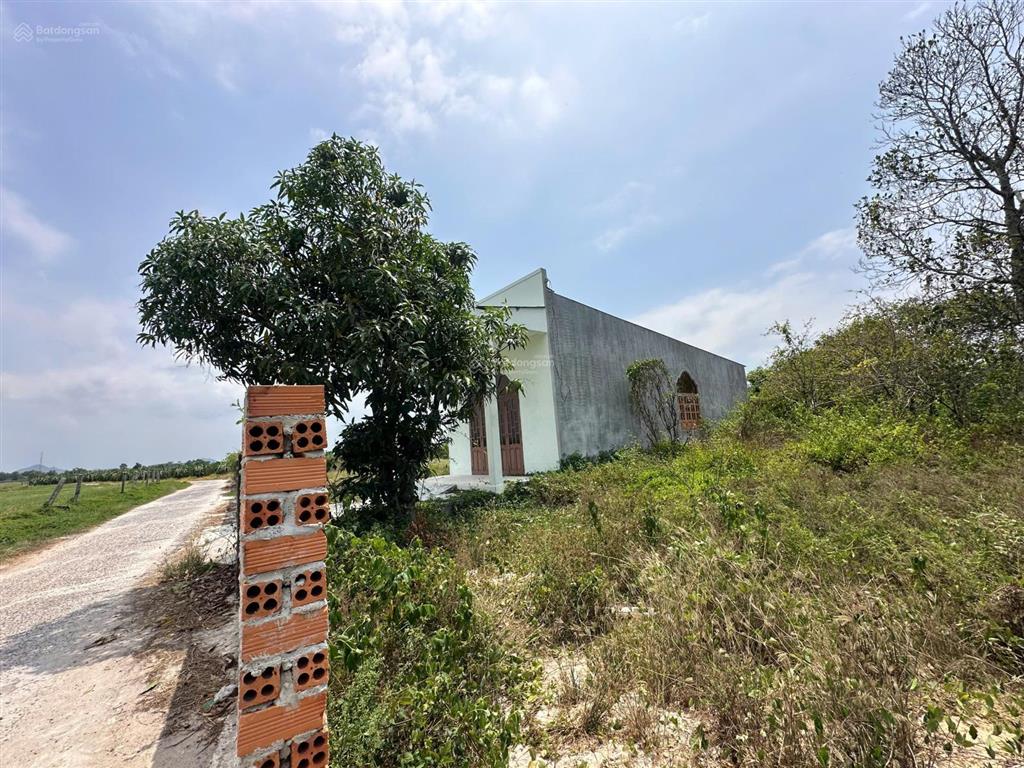 Căn nhà hẻm lý thái tổ gần biển 11x40m (519,2m²) giá ngộp đường 5m
