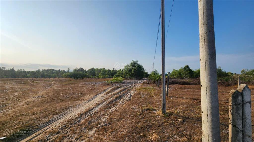 20x125(2581m2) mũi đá, tân phước, hàng ngộp giá tốt