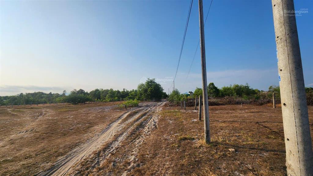 20x125(2581m2) mũi đá, tân phước, hàng ngộp giá tốt