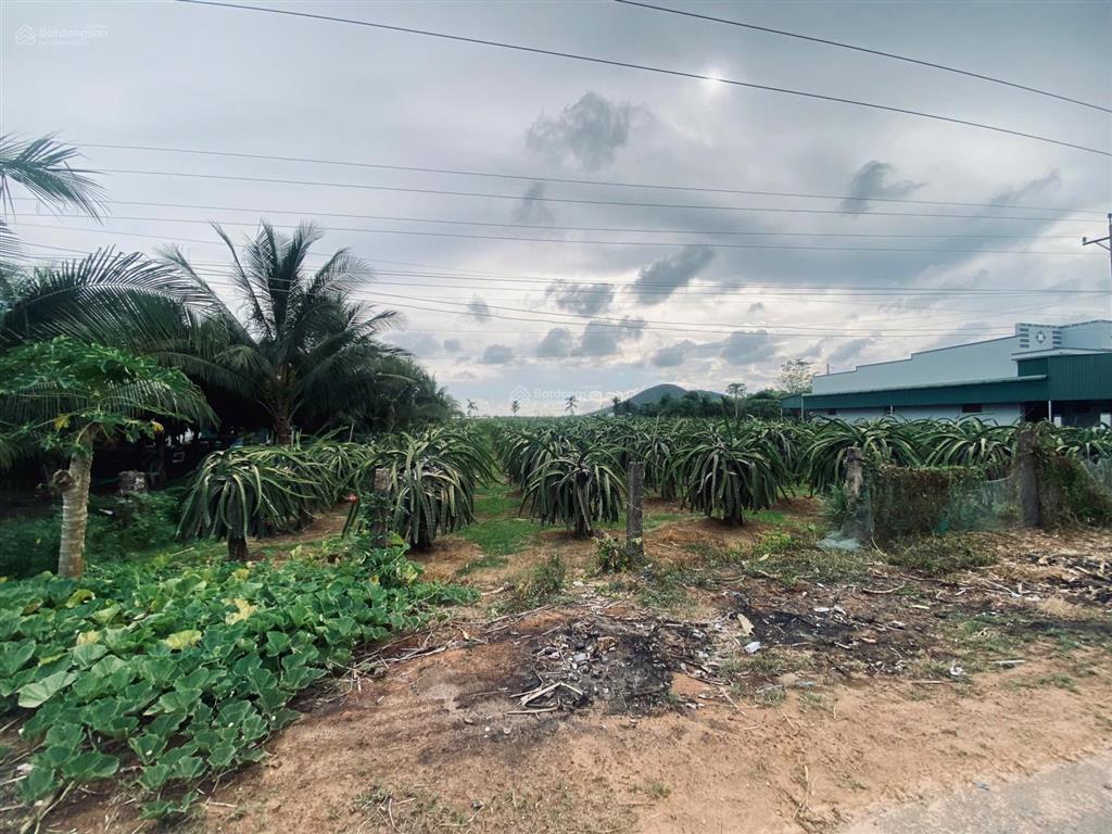 10x50(500m²) 150m² thổ cư, đinh công tráng, tân tiến, gần hồ núi đất gần biển giá tốt