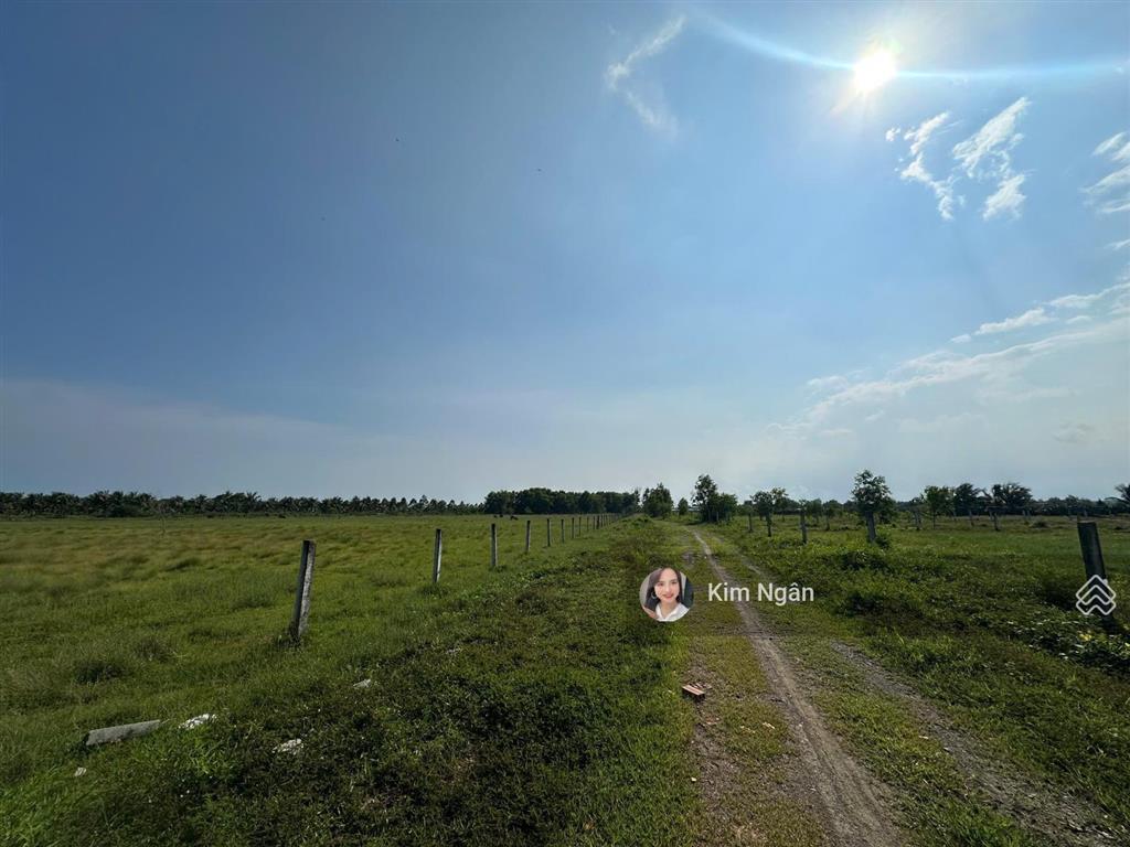 1,8 mẫu 300m2 thổ full hồng gần biển, giá ngộp bank