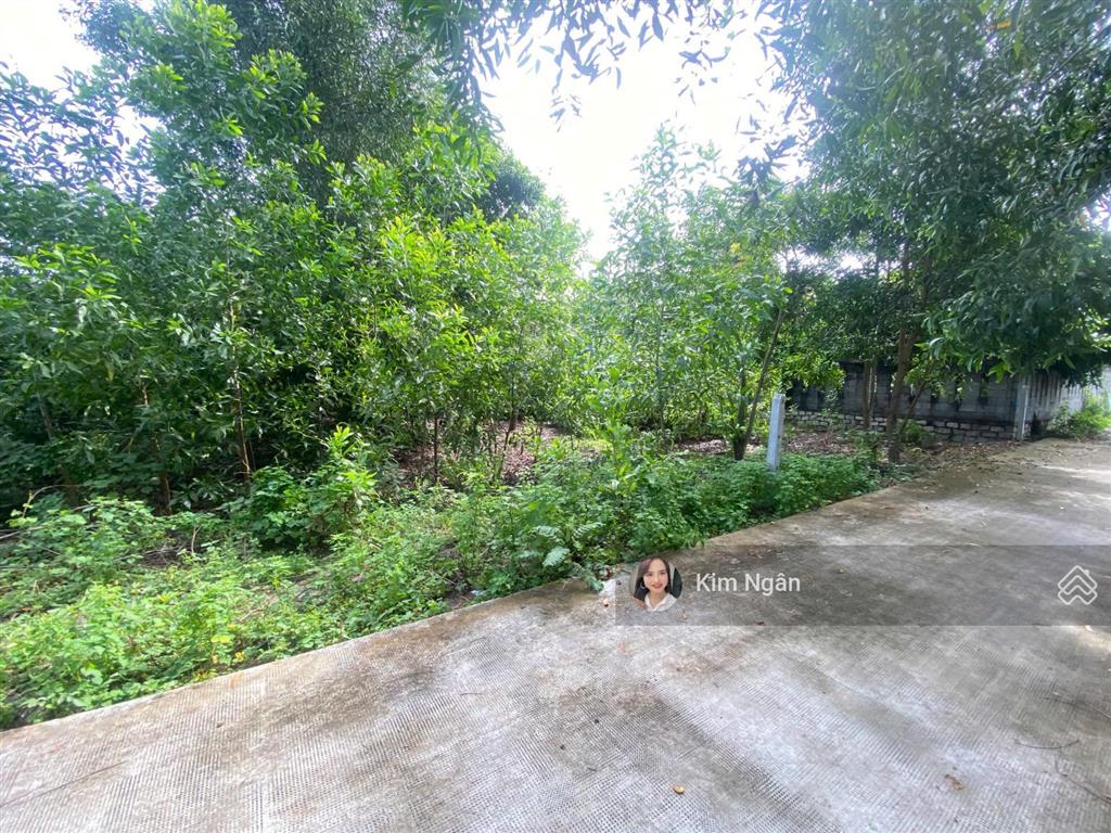16x37m (610m2) sát biển cam bình, hẻm bê tông, giá rẻ