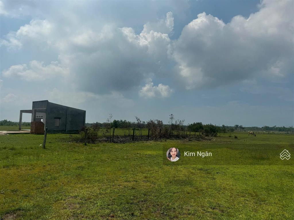 Bán 40x32m (1297m2) gần biển giá tốt tân bình lagi phủ hồng đường ô tô