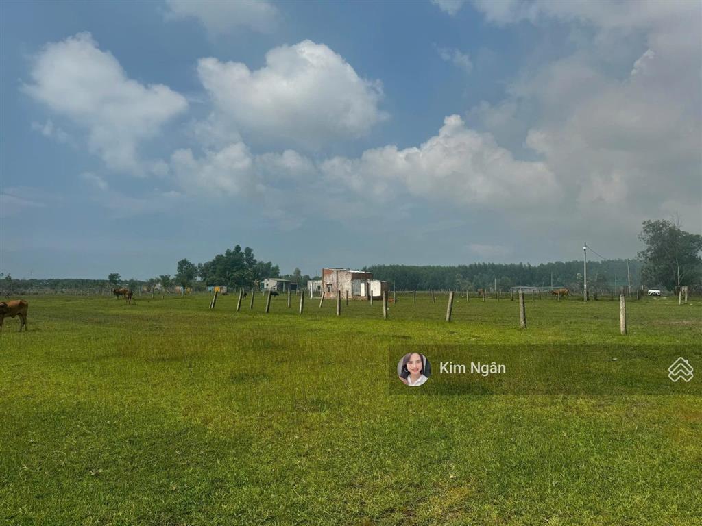 Bán 40x32m (1297m2) gần biển giá tốt tân bình lagi phủ hồng đường ô tô