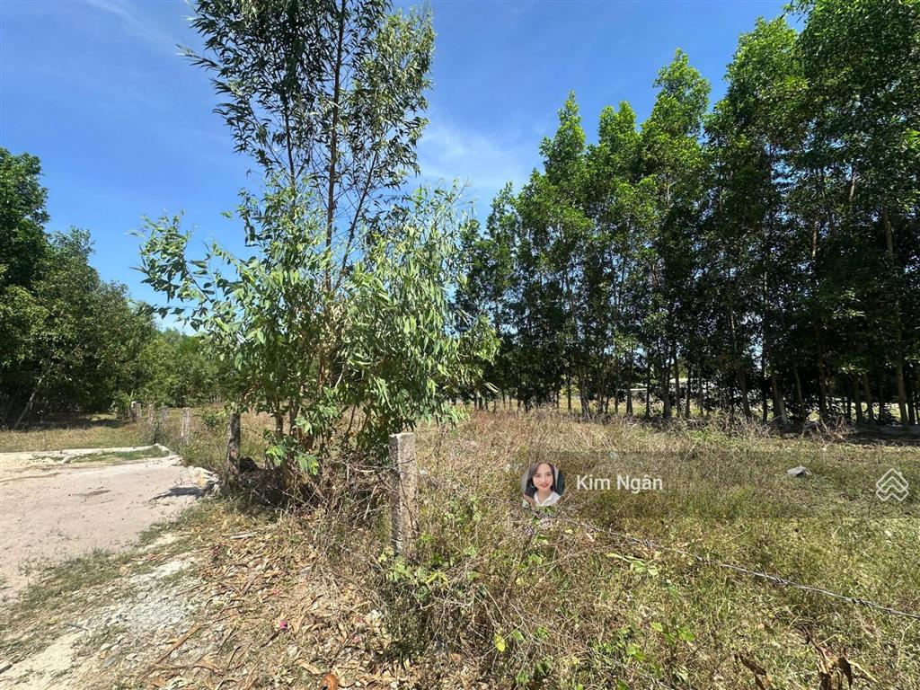 Ngộp 1139m2 có 139m2 thổ giá 1,6 tỷ phường lagi giá rẻ sổ riêng