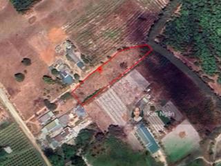 Ngộp 1139m2 có 139m2 thổ giá 1,6 tỷ phường lagi giá rẻ sổ riêng