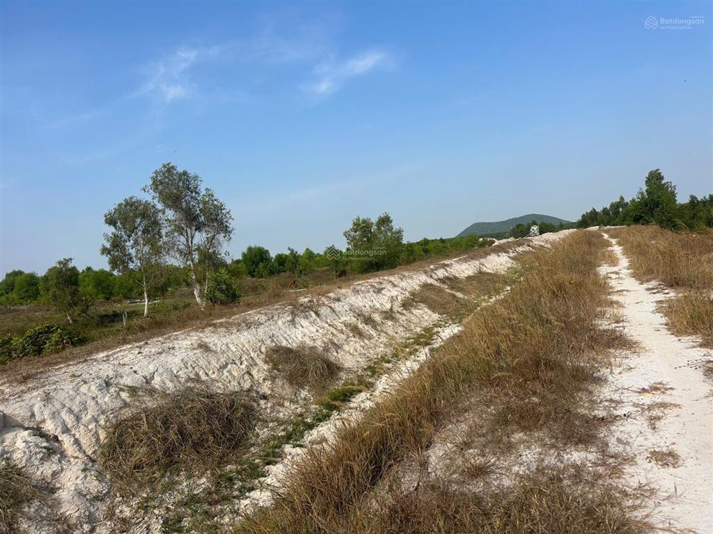 Bán 2004.2m2 giá 400 triệu đường kênh tân bình giá tốt